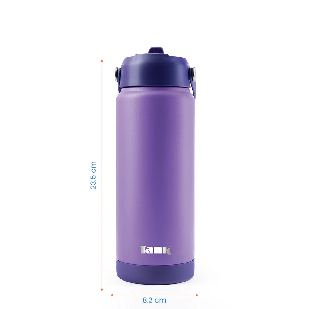 Tank Move 750ml Stainless Steel Bottle BPA free insulated Leakproof Grape 6223003247591